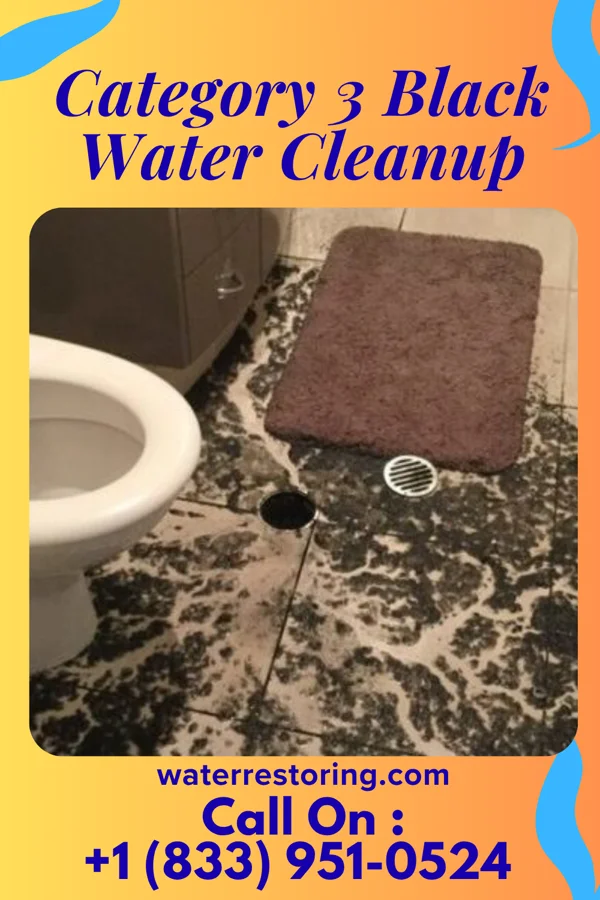 Category 3 Black Water Cleanup in Topeka, IL