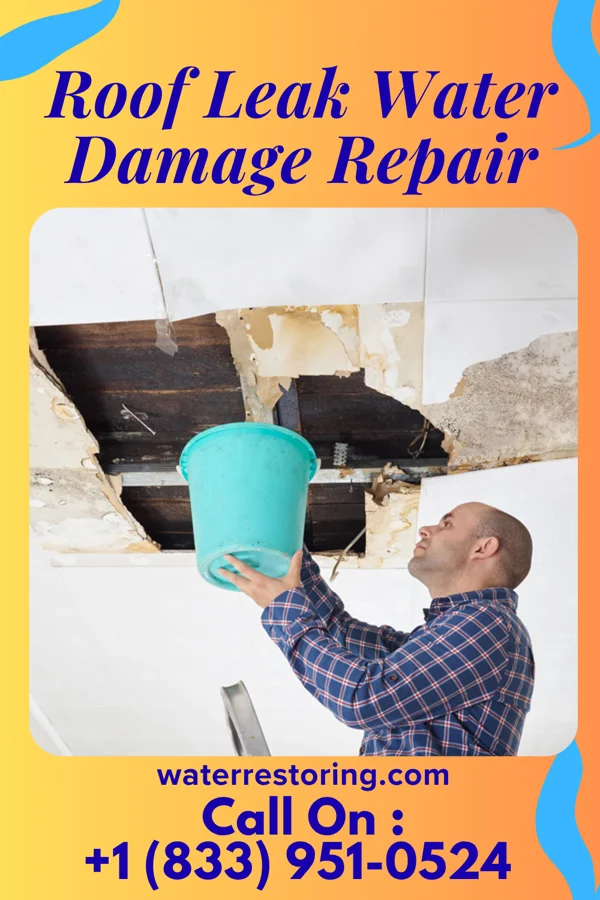 Roof Leak Water Damage Repair in Topeka, IL